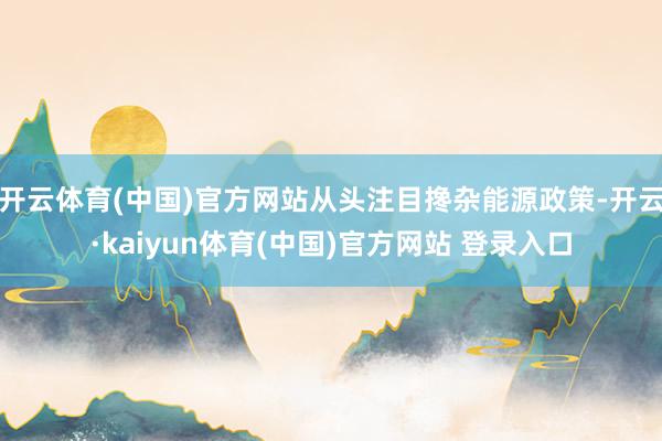 开云体育(中国)官方网站从头注目搀杂能源政策-开云·kaiyun体育(中国)官方网站 登录入口