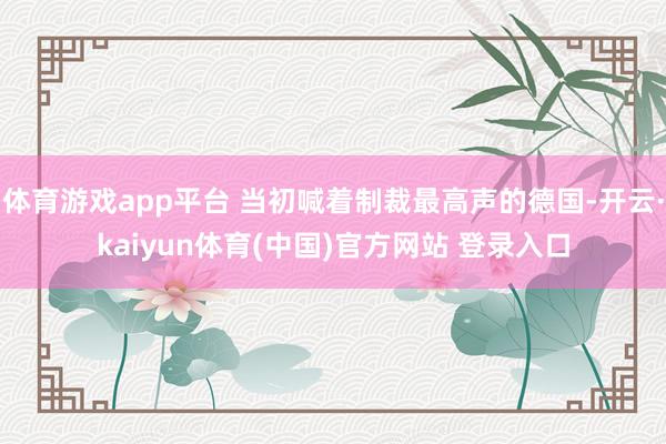 体育游戏app平台 当初喊着制裁最高声的德国-开云·kaiyun体育(中国)官方网站 登录入口